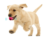 Dog Toy - Pet Lighting Ball - Dark Pink - Glowish