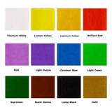 Signature Fabric Paints 12pc x 20ml (0.7oz) - Glowish