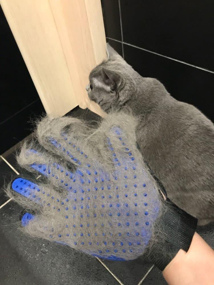 Silicone Pet Grooming Gloves for Cats And Dogs - Glowish